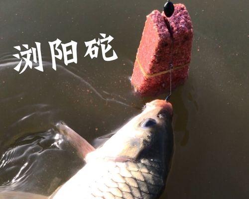 飞毛腿钩钓鱼技巧有哪些？如何提高飞毛腿钩的钓鱼效率？  第1张
