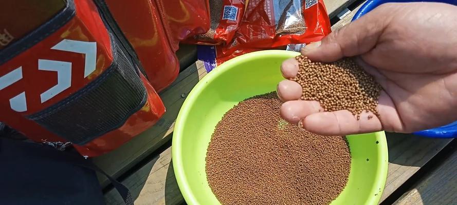 飞铅离底钓鱼技巧是什么？如何有效运用提高钓获率？  第1张