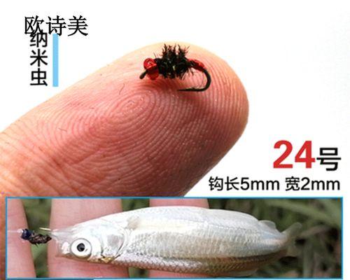 飞蝇毛钩钓鱼技巧和方法有哪些？如何提高钓鱼成功率？  第1张