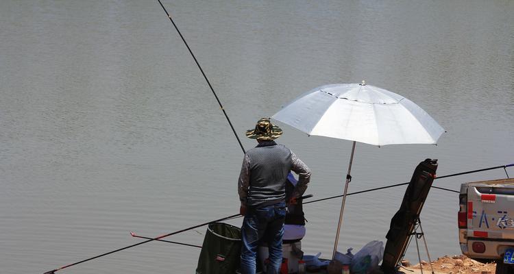 肥水钓鱼的必备技巧方法是什么？如何提高钓鱼效率？  第2张