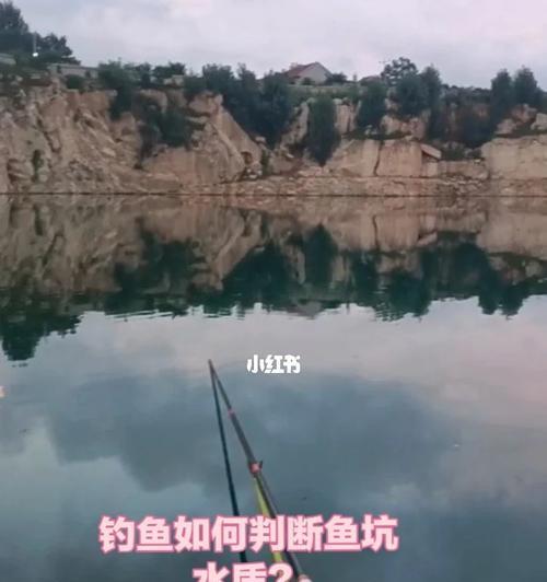 肥水钓鱼技巧详解？如何提高肥水钓鱼的成功率？  第1张