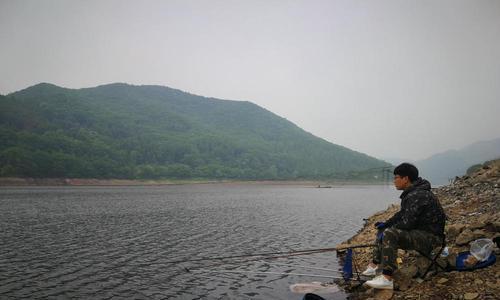 肥水钓鱼技巧要不要打窝？打窝的正确方法是什么？  第1张
