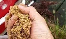 肥水和瘦水钓鱼技巧教学？如何根据水质选择合适的钓鱼方法？  第3张