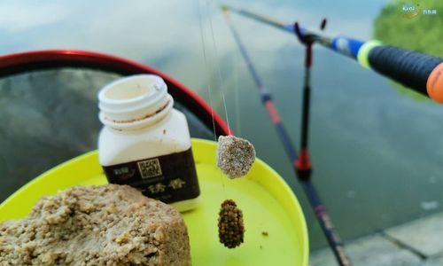 肥水黑坑钓鱼技巧教程？如何提高钓获率？  第2张