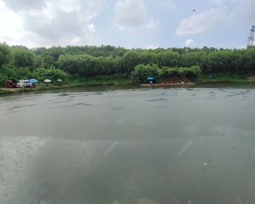 肥水湖钓鱼技巧有哪些？如何提高钓鱼成功率？  第1张