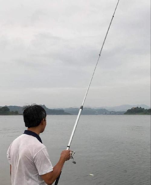 肥水湖钓鱼技巧有哪些？如何提高钓鱼成功率？  第2张