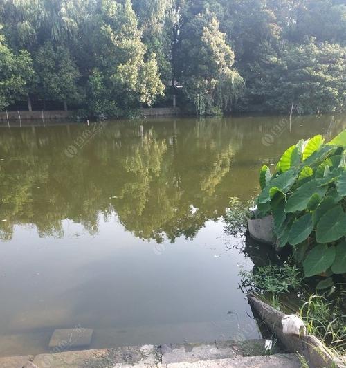 肥水湖钓鱼技巧有哪些？如何提高钓鱼成功率？  第3张