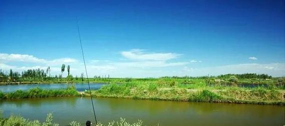 肥水湖库钓鱼技巧有哪些？如何提高钓鱼成功率？  第2张