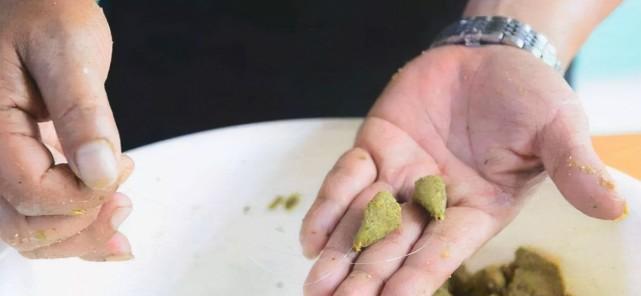 肥水老塘钓鱼技巧和方法有哪些？如何提高钓鱼成功率？  第3张