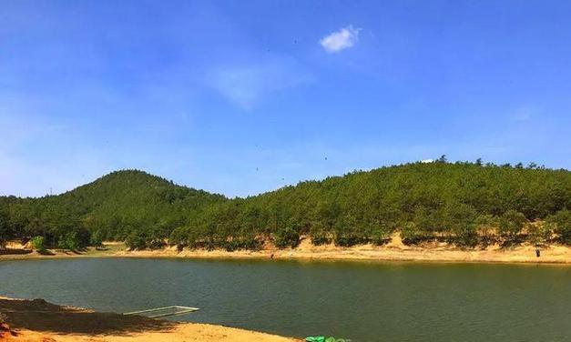 初夏在肥水塘钓鱼应该注意什么？有哪些有效的钓鱼技巧？  第2张