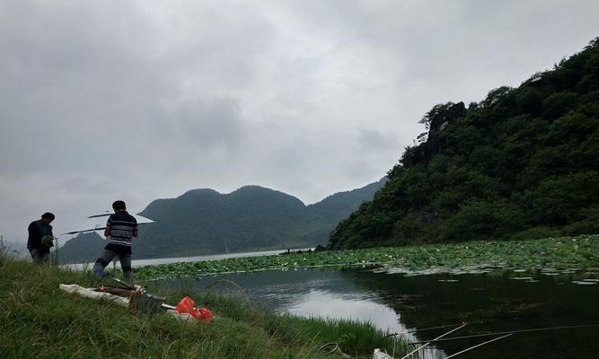肥水塘钓鱼的方法和技巧是什么？如何提高钓鱼成功率？  第2张
