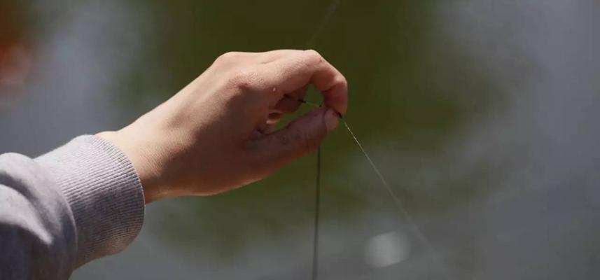 肥水塘钓鱼技巧和方法有哪些？如何提高钓鱼成功率？  第2张