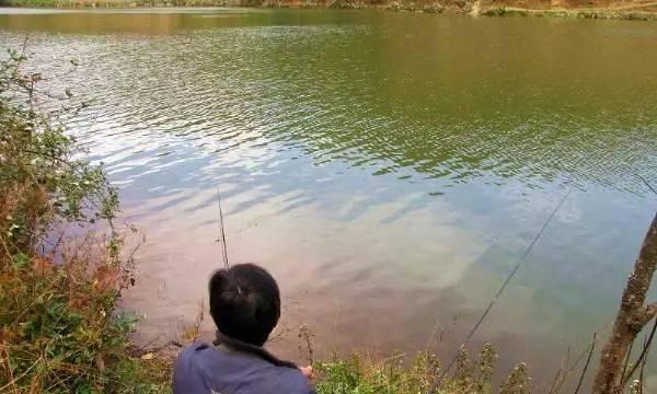秋季在肥水塘钓鱼时应该注意哪些技巧？如何提高钓鱼成功率？  第1张
