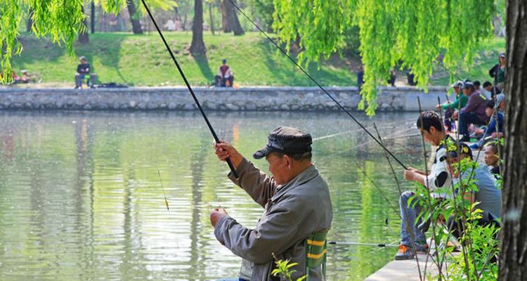 肥水塘阴雨天黑坑钓鱼技巧有哪些？如何应对天气变化提高钓鱼成功率？  第3张