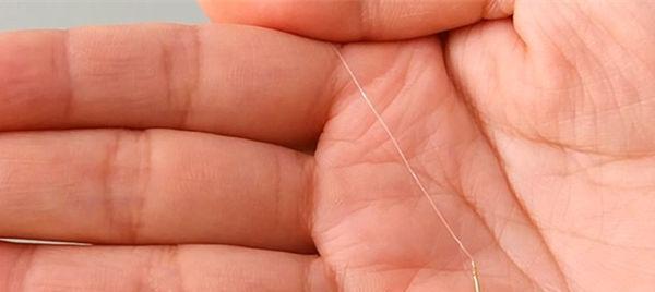 肥水塘钓鱼最佳方法和技巧是什么？如何提高钓鱼效率？  第1张
