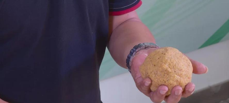 肥水王钓鱼技巧有哪些？如何提高钓鱼成功率？  第2张