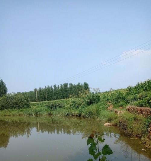 肥水野河钓鱼技巧有哪些？如何提高钓鱼成功率？  第2张