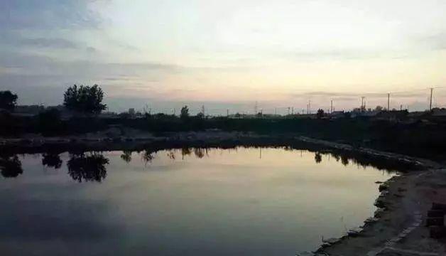 肥塘黑坑钓鱼技巧有哪些？如何提高钓鱼成功率？  第2张