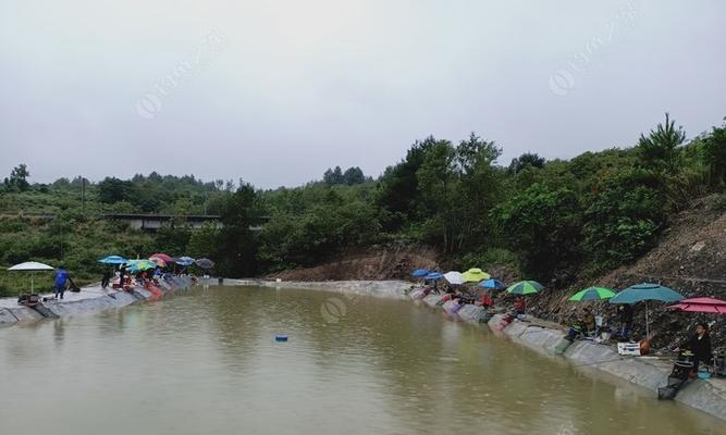 废弃深水鱼塘钓鱼技巧是什么？如何提高钓鱼成功率？  第2张