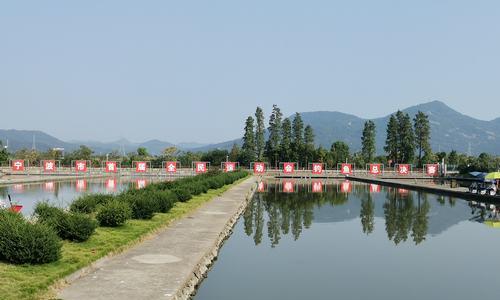 废水池钓鱼技巧是什么？如何提高钓鱼成功率？  第1张