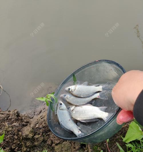 丰都筏钓走水钓鱼技巧有哪些？如何应对走水情况提高钓获率？  第2张