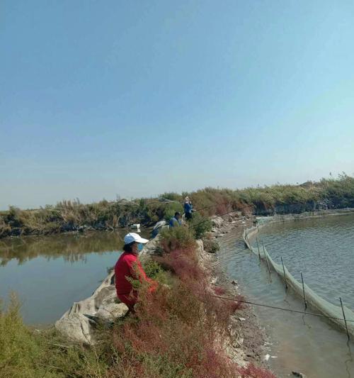 风吹池塘钓鱼的方法和技巧是什么？如何提高钓鱼效率？  第3张