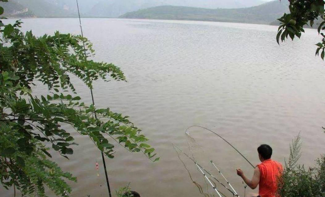 风筝钓鱼的最佳方法和技巧是什么？如何提高风筝钓鱼的成功率？  第1张