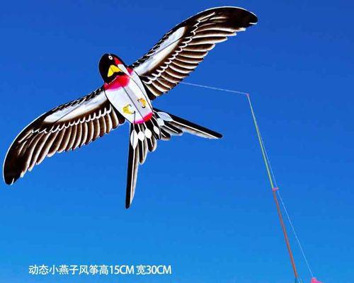 风筝钓鱼技巧简单易懂？如何快速掌握风筝钓鱼方法？  第1张