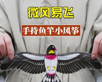 风筝钓鱼技巧简单易学？如何快速掌握风筝钓鱼方法？  第3张