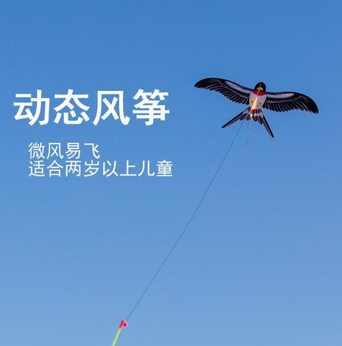风筝钓鱼正确方法和技巧是什么？如何提高风筝钓鱼的成功率？  第3张