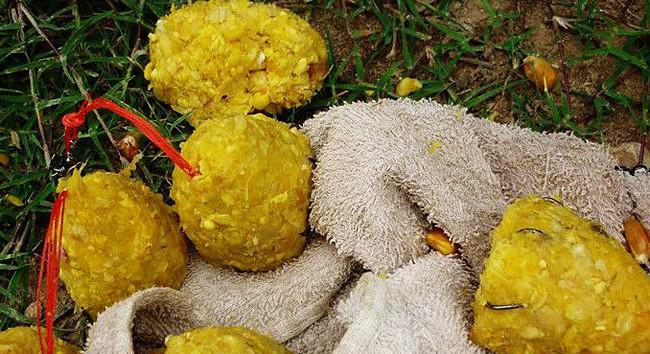 蜂蜜味玉米钓鱼技巧有哪些？如何提高钓鱼成功率？  第2张