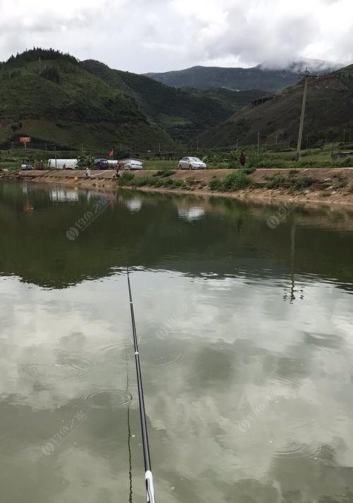 奉上坑塘钓鱼小技巧？如何提高钓获率？  第3张