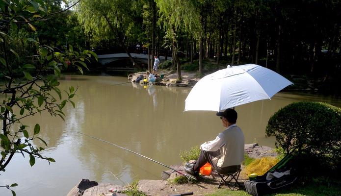 伏天钓鱼的技巧是什么？如何在炎热夏季成功钓到鱼？  第1张