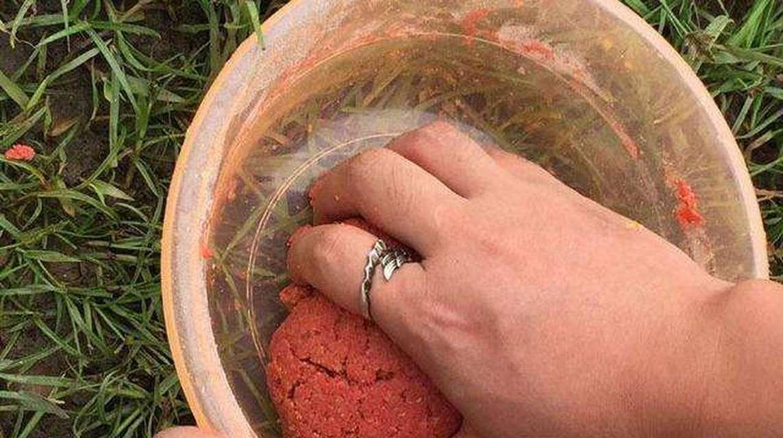 伏天钓鱼绝密技巧是什么？如何在酷暑中钓到大鱼？  第2张