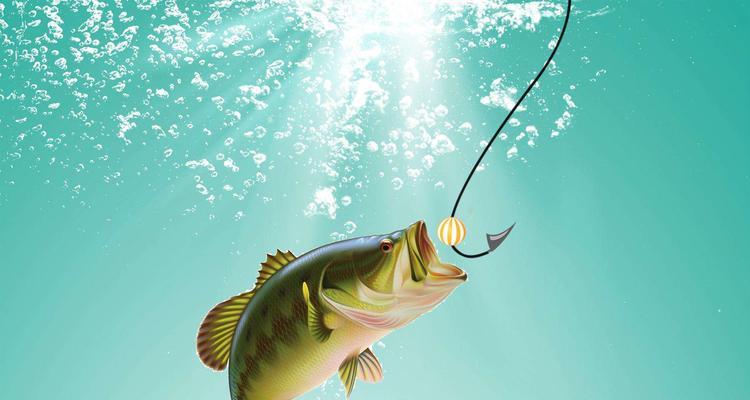 浮标钓鲤鱼技巧有哪些？如何提高钓鲤鱼的成功率？  第3张