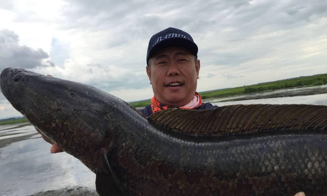 浮草钓黑鱼的方法和技巧是什么？如何提高钓黑鱼的成功率？  第2张
