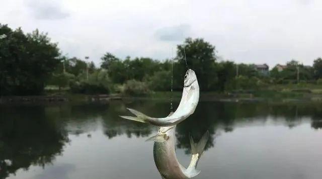 浮底钓鱼的正确方法和技巧是什么？如何提高浮底钓鱼的技巧？  第2张
