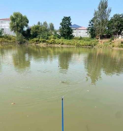 浮钓的钓法和技巧是什么？如何提高浮钓的技巧？  第3张