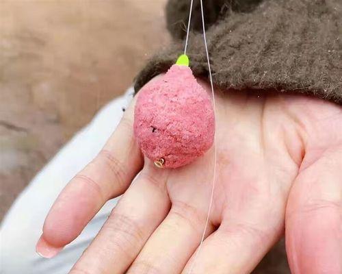 浮钓冬季钓鲢鱼技巧有哪些？如何提高冬季钓鲢鱼的成功率？  第3张