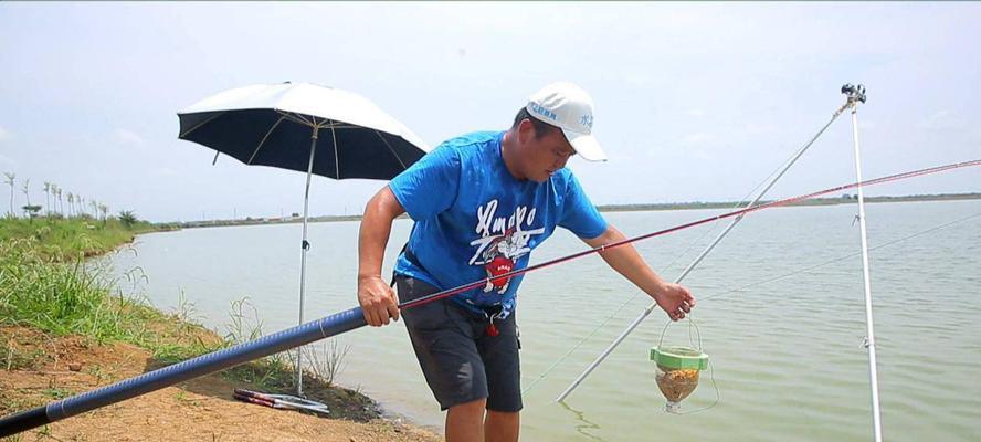 浮豆钓青鱼技巧有哪些？如何提高钓青鱼的成功率？  第3张