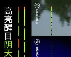 浮漂钓白条技巧有哪些？如何提高钓白条的效率和成功率？  第2张