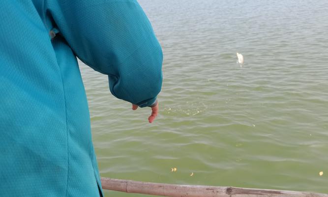 浮漂钓海鲈鱼技巧有哪些？如何提高钓海鲈鱼的成功率？  第2张