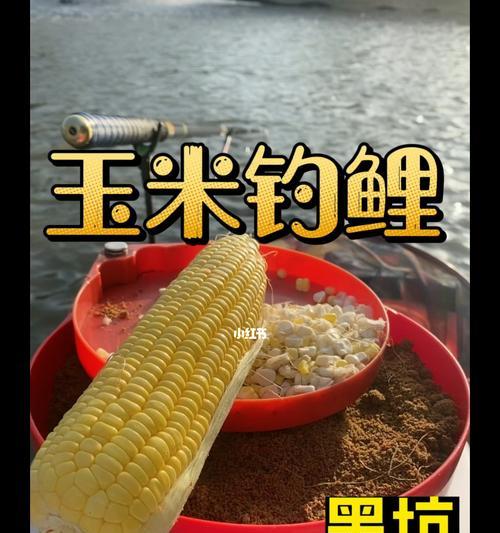 浮漂钓鲤鱼技巧教学？如何提高钓鲤鱼的成功率？  第2张