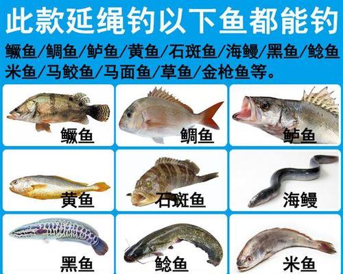浮漂钓鲈鱼技巧有哪些？如何提高钓鲈鱼的成功率？  第2张
