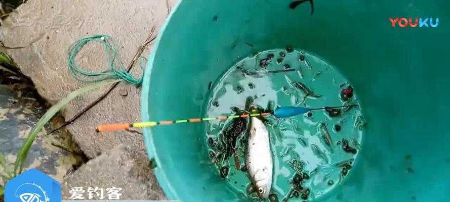 浮漂钓鲈鱼技巧有哪些？如何提高钓鲈鱼的成功率？  第3张