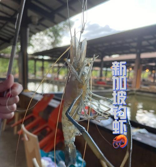 浮漂钓虾的方法和技巧是什么？如何提高钓虾的成功率？  第1张