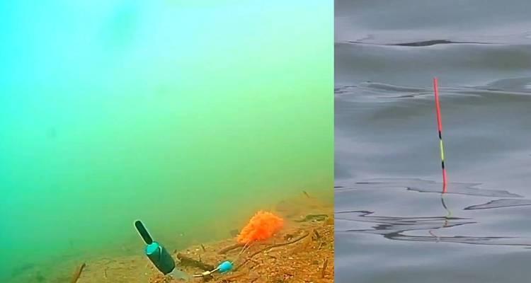 浮漂钓鱼技巧教程？如何选择合适的浮漂？  第2张