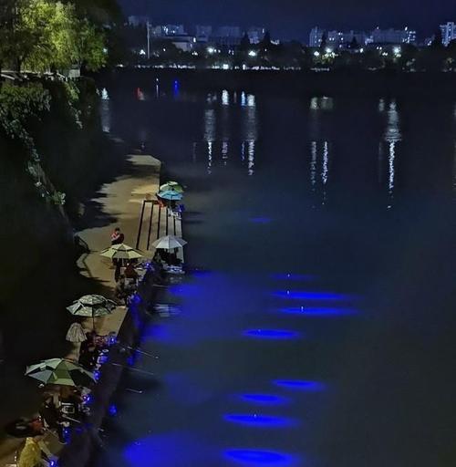 浮漂调钓夜钓必备技巧是什么？如何有效提升夜钓成功率？  第2张