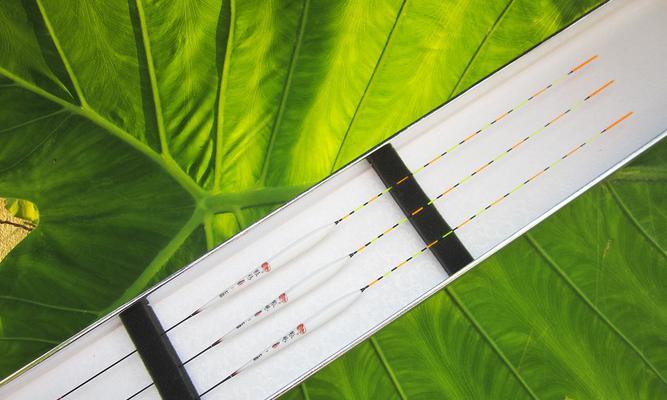 浮漂两目半钓底技巧和方法是什么？如何有效掌握？  第2张