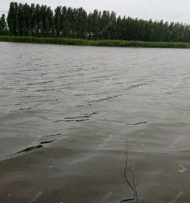 浮萍池塘钓鱼技巧教程？如何提高钓获率？  第1张